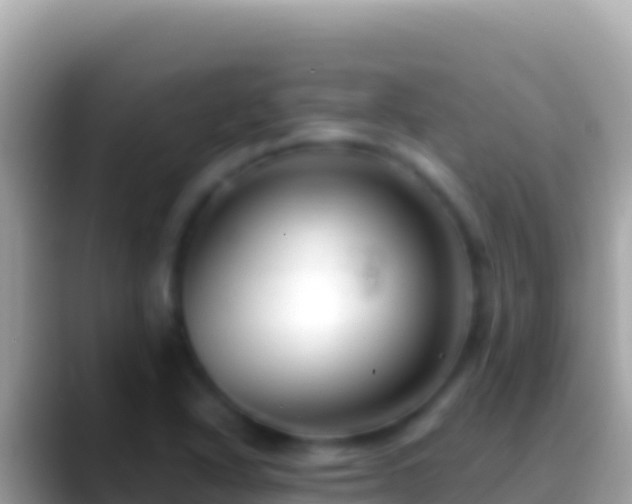 X0000088661318200706011232