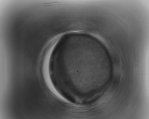 X0000088661319200706011232