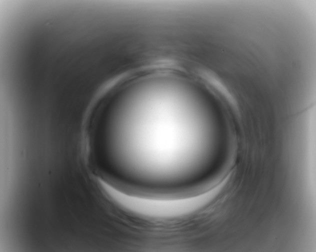 X0000088661320200706011232