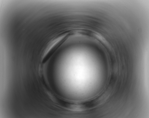 X0000088661321200706011232