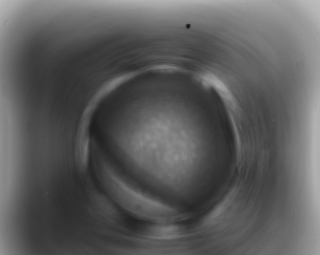 X0000088661323200706011232