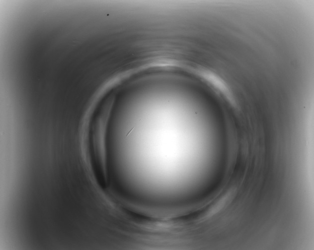 X0000088661326200706011233