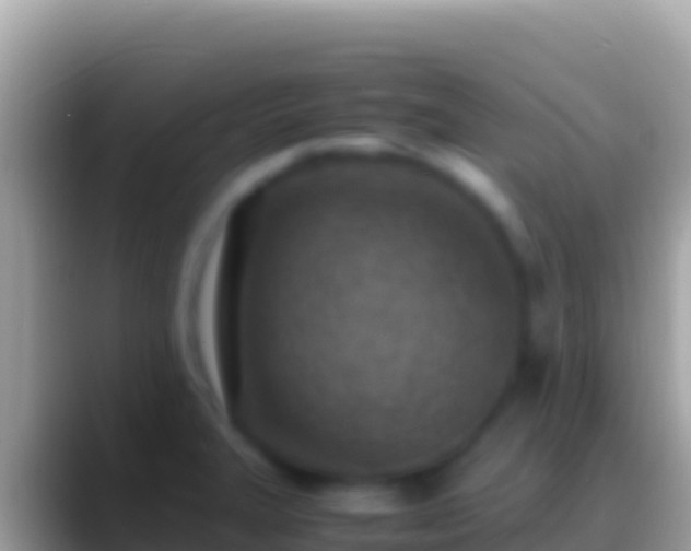 X0000088661327200706011233