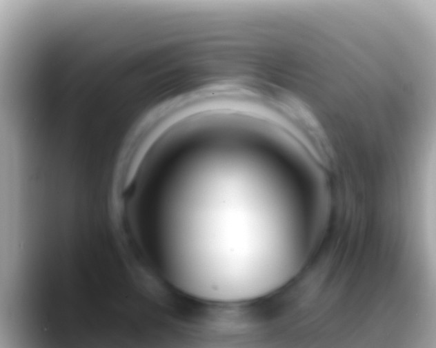 X0000088661328200706011233