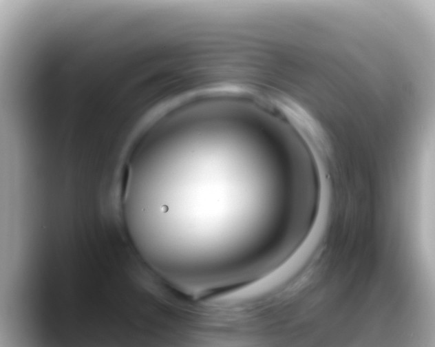 X0000088661332200706011233