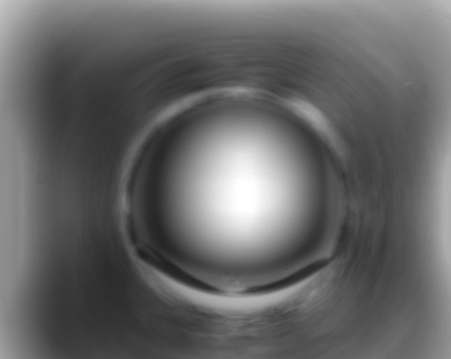 X0000088661335200706011233