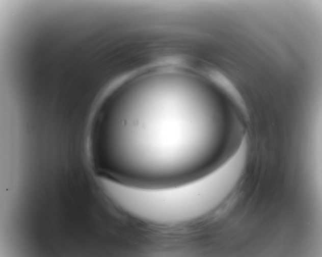 X0000088661336200706011233