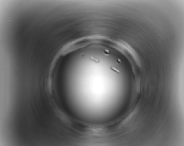 X0000088661340200706011233