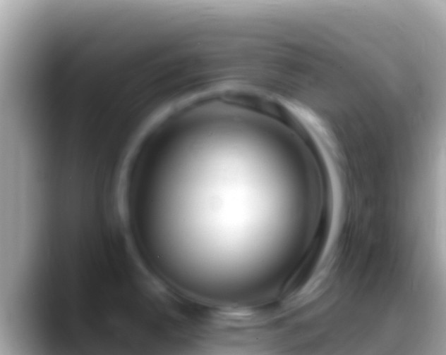 X0000088661342200706011233