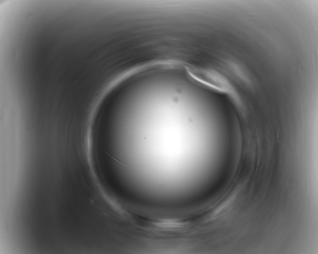 X0000088661343200706011233