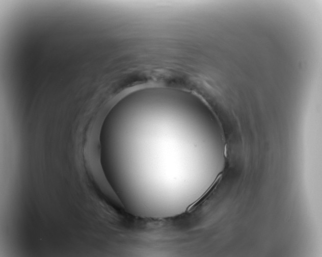 X0000088661345200706011232