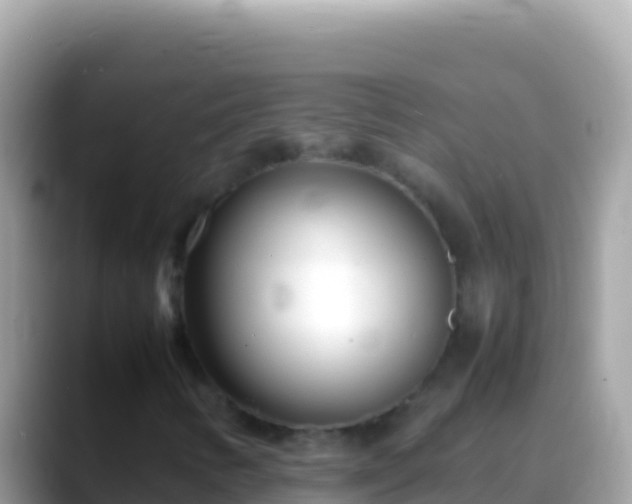 X0000088661346200706011232