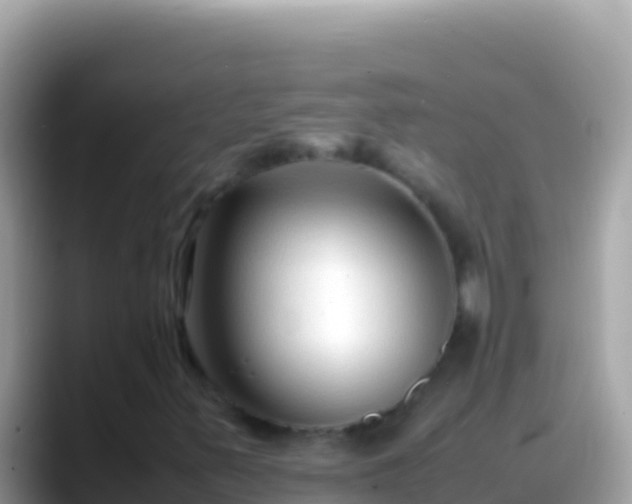 X0000088661347200706011232