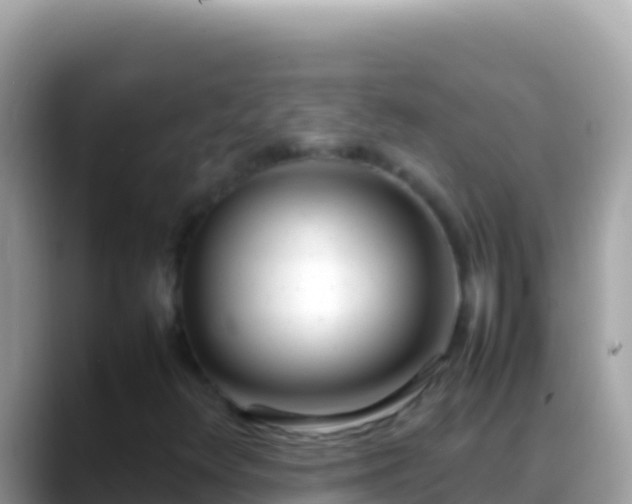 X0000088661348200706011232