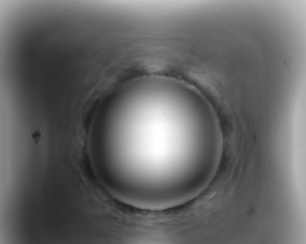 X0000088661349200706011232