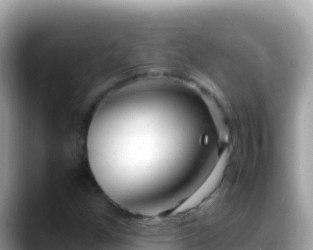 X0000088661352200706011232