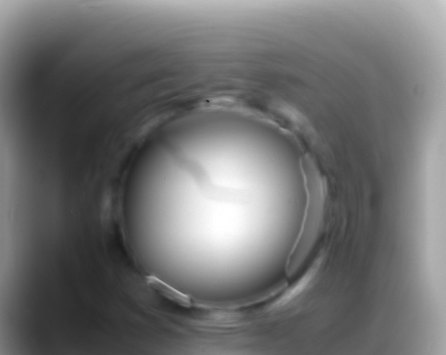 X0000088661353200706011232