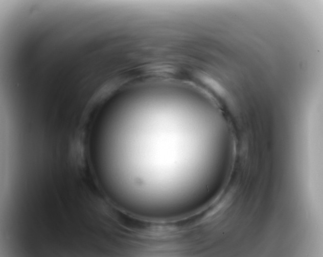 X0000088661354200706011232