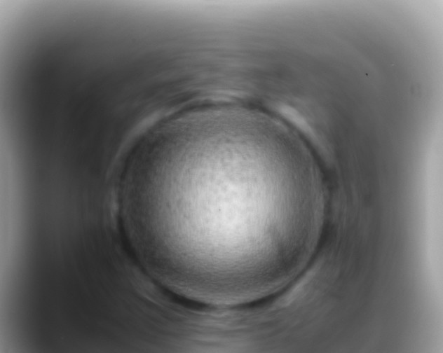 X0000088661355200706011232