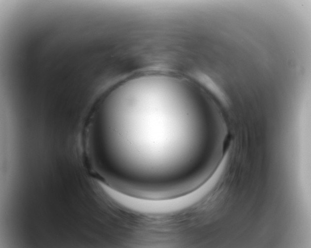 X0000088661356200706011232