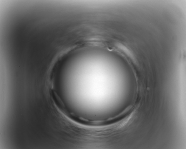 X0000088661357200706011232