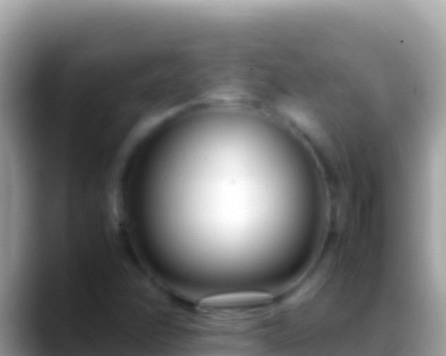 X0000088661358200706011232