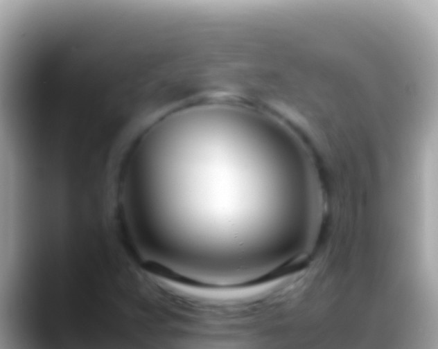 X0000088661359200706011232