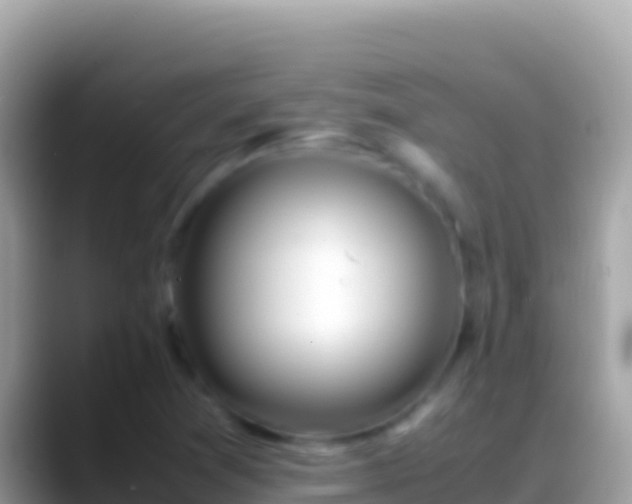 X0000088661361200706011232