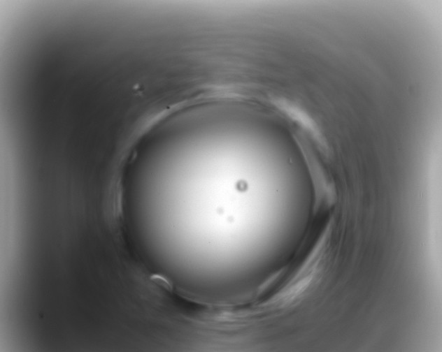 X0000088661365200706011232