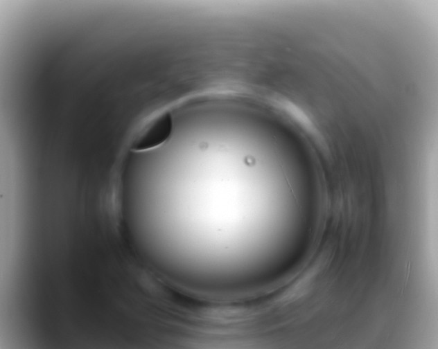 X0000088661366200706011232