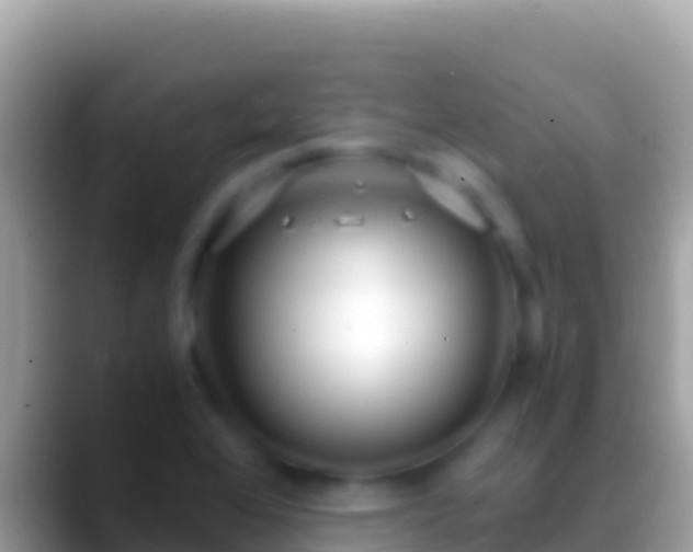 X0000088661368200706011232