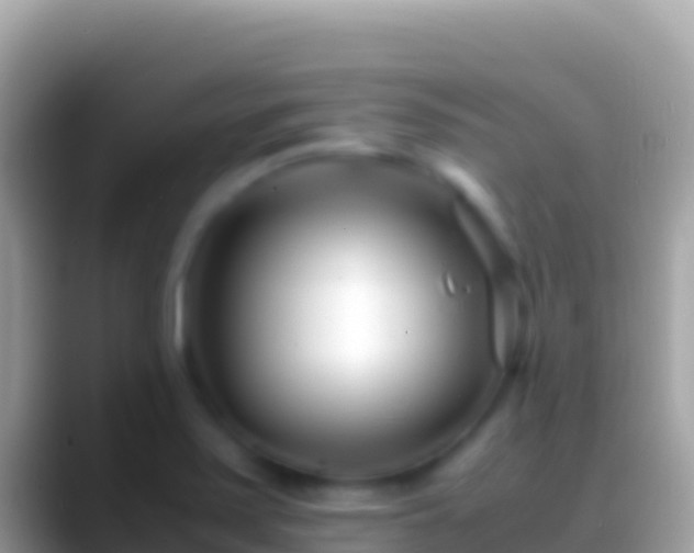 X0000088661371200706011232