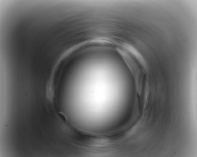 X0000088661372200706011232