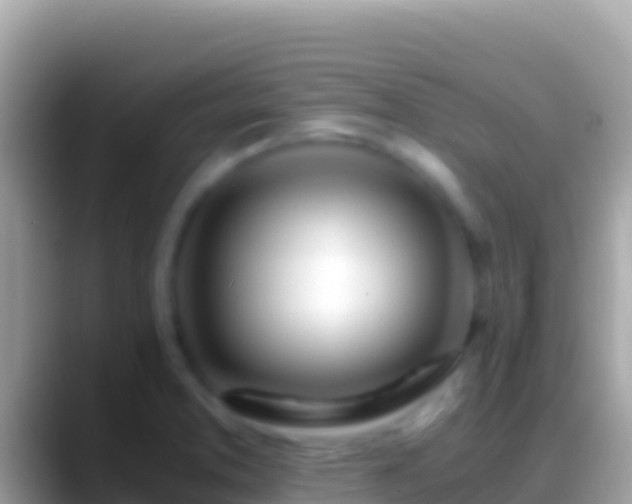 X0000088661373200706011232