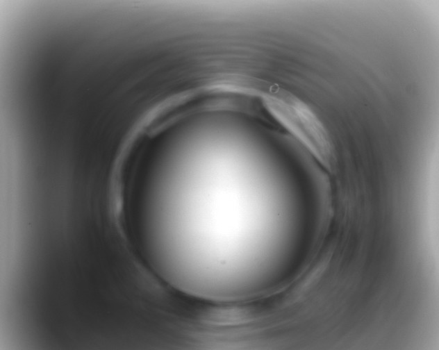 X0000088661376200706011232