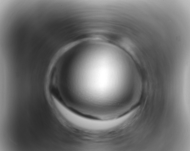 X0000088661379200706011232