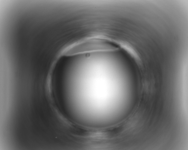 X0000088661382200706011232