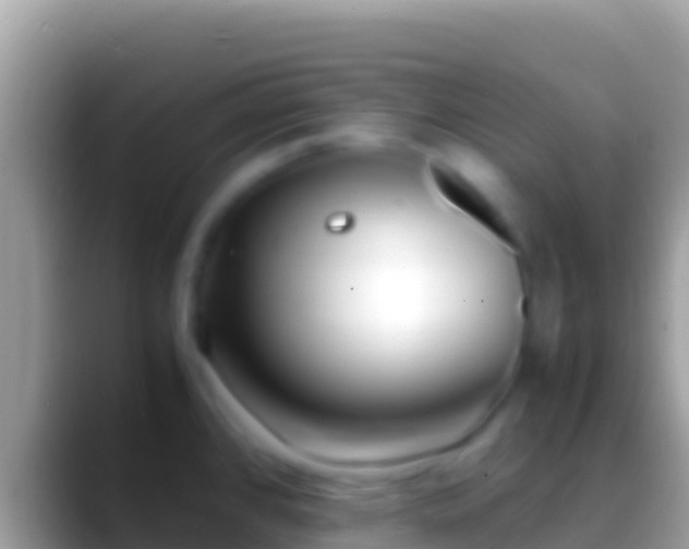 X0000088661384200706011232