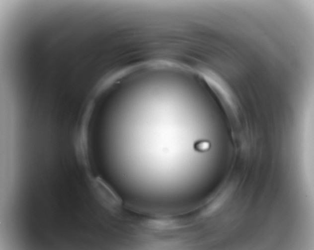 X0000088661388200706011232