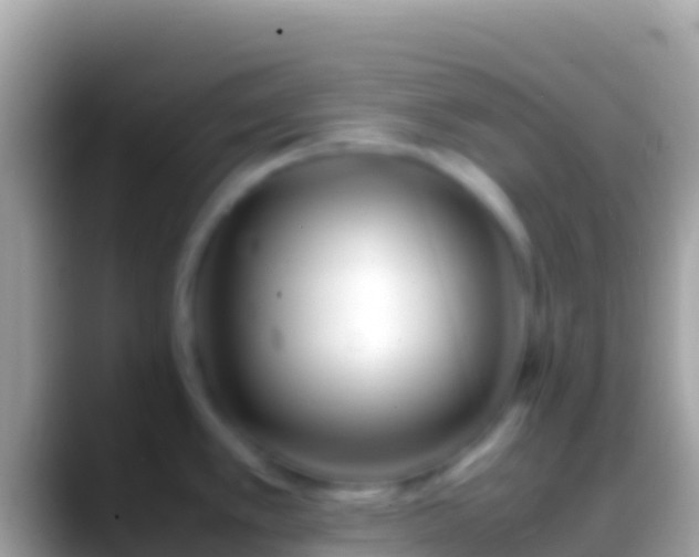 X0000088661389200706011232