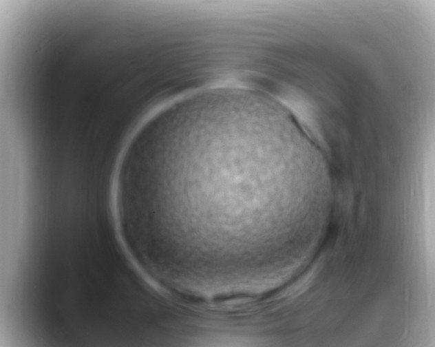 X0000088661391200706011232