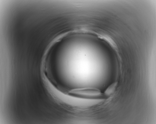 X0000088661392200706011232