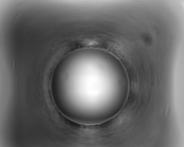 X0000088661393200706011231