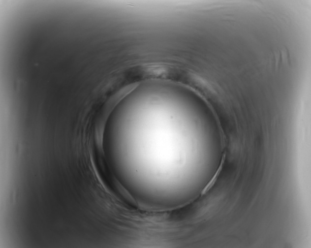 X0000088661394200706011231