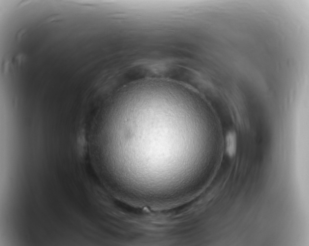 X0000088661395200706011231