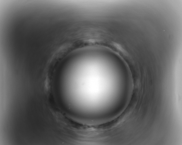 X0000088661398200706011231