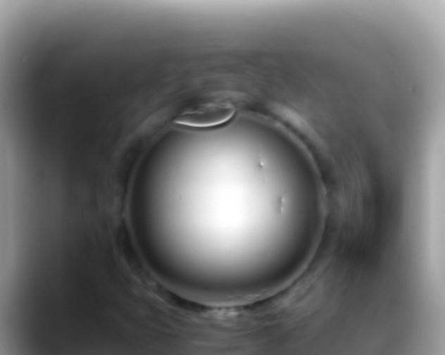 X0000088661399200706011231