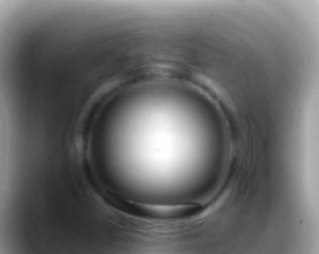 X0000088661402200706011231