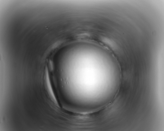 X0000088661403200706011231