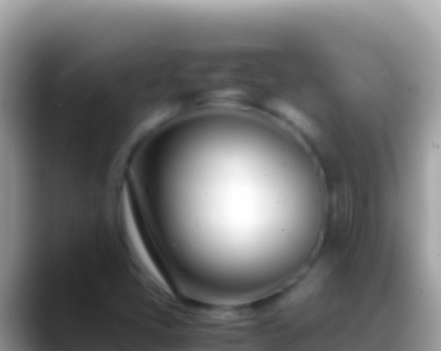 X0000088661405200706011231